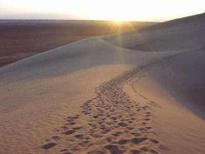 Your Desert Experience in Ministry – Part 2/4 - Daniel Im